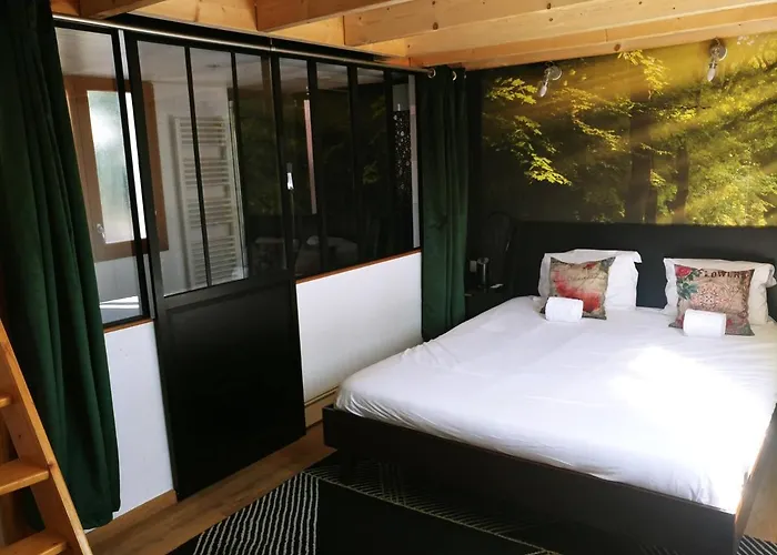 Maison Jardin Et Parking Prive Dans Grenoble